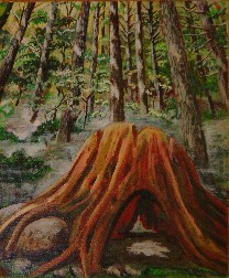 B-UIRUSONKABU.jpg